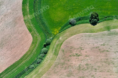 Preview: Aerial View Over The Green Field