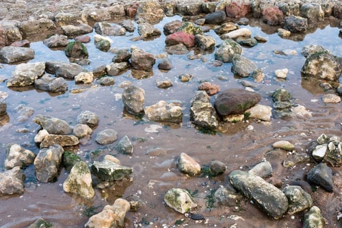 Preview: Exposed Stones And Rocks At Low Tide