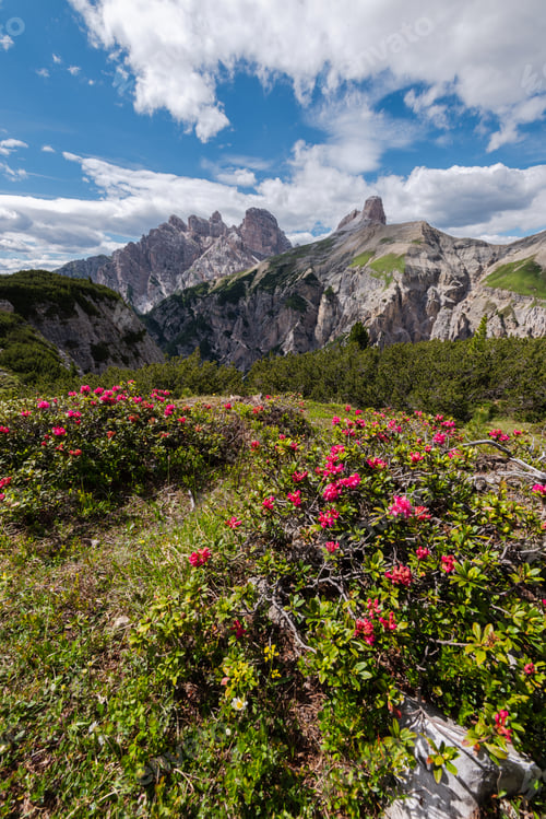 Preview: Tre Cime Di Lavaredo On A Sunny Day