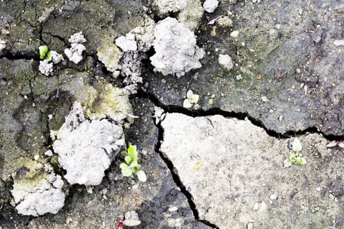 Preview: Cracked Soil - Texture And Background