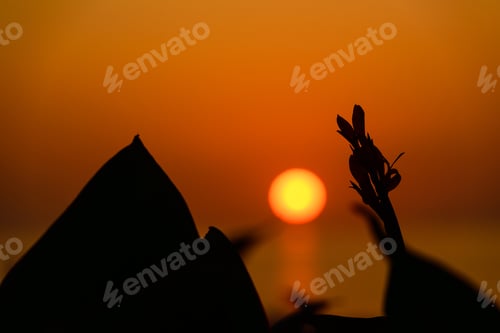 Preview: Dramatic Sunset Over The Black Sea