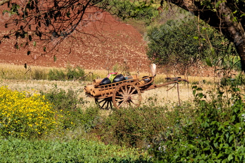 Preview: Fields In The Central Highlands Of Myanmar Show Their Beautiful Colors, Northwest Of Inle Lake
