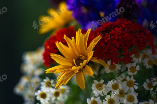 Preview: A Bouquet Of Bright Spring Flowers Of Various Types