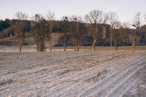 Preview: Plowed Field At Spring Landscape