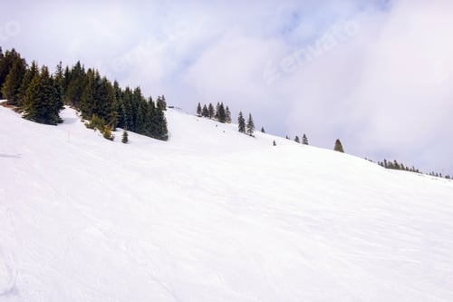 Preview: Winter Ski Slope Landscape With Pine Trees Covered With Snow, Saalbach-Hinterglemm, Austria
