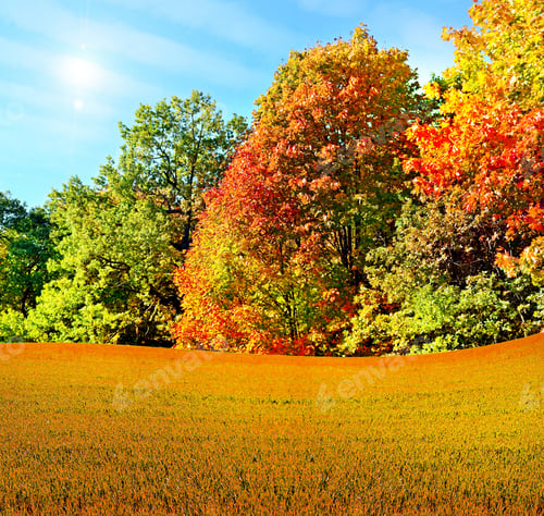 Preview: Autumn Landscape