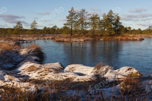 Preview: Boglake In Winter, With Clouds And Ice