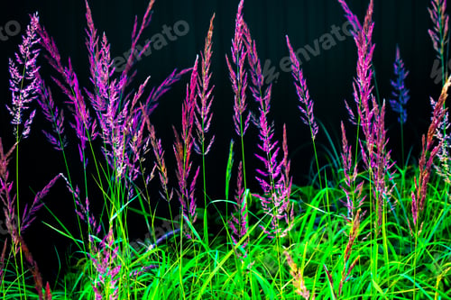 Preview: Blurred Image Of Grass. Summer Colorful Abstract Background.