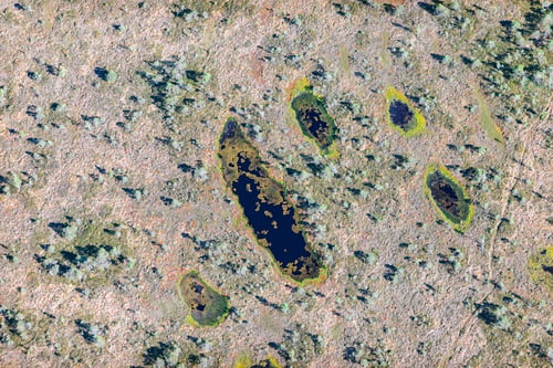 Preview: Aerial View Over The Swamp And Vegetation