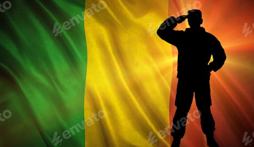 Preview: Flag With Original Proportions. Flag Of The Mali