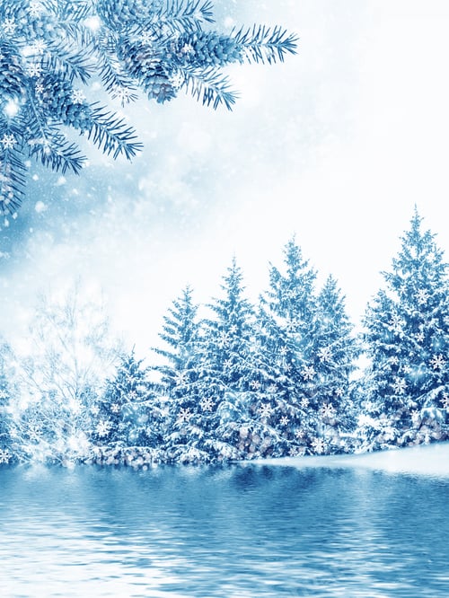 Preview: Frozen Winter Forest With Snow Covered Trees.