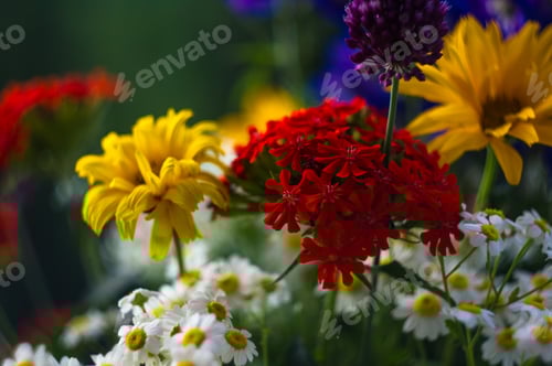 Preview: A Bouquet Of Bright Spring Flowers Of Various Types