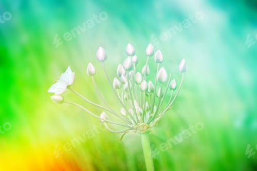 Preview: Blurred Image Of Grass. Summer Colorful Abstract Background.