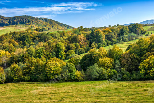 Preview: Early Autumn Mountain Landscape. Green Meadow Near The Forest On The Hillside In Carpathians