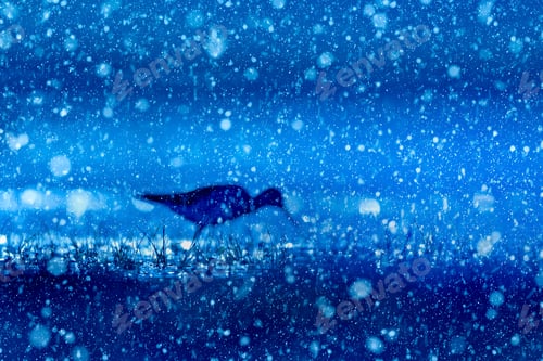 Preview: Winter Season And Animals. Falling Snow. Blue Nature Background.