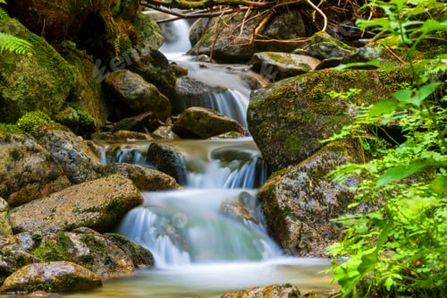Preview: Waterfall On Mountain Brook In Forest