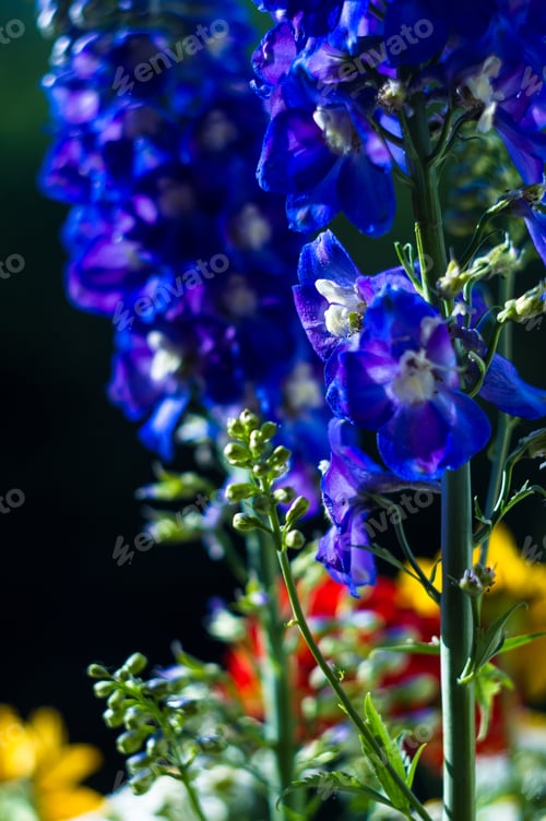 Preview: A Bouquet Of Bright Spring Flowers Of Various Types