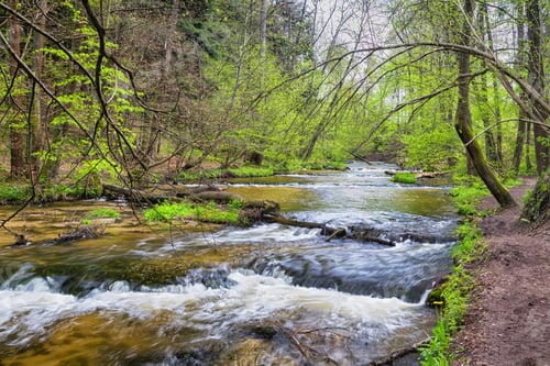 Preview: Szumy Na Tanwi (Cascades On Tanew River) Roztocze (Roztochia), Roztoczanski Park Narodowy (Roztocze