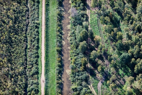 Preview: Aerial View Over The Trees