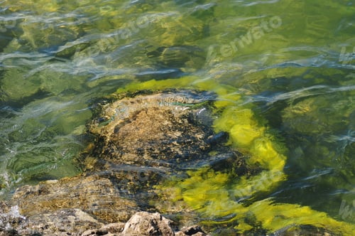 Preview: Lake Water Abstract Background