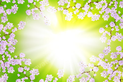 Preview: Blossoming Branch Apple. Bright Colorful Spring Flowers
