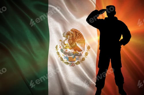 Preview: Flag With Original Proportions. Closeup Of Grunge Flag Of Mexico