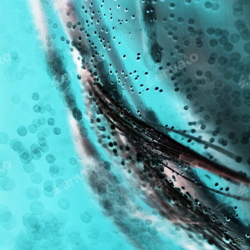 Preview: Colorful Underwater Dandelion Seeds With Bubbles