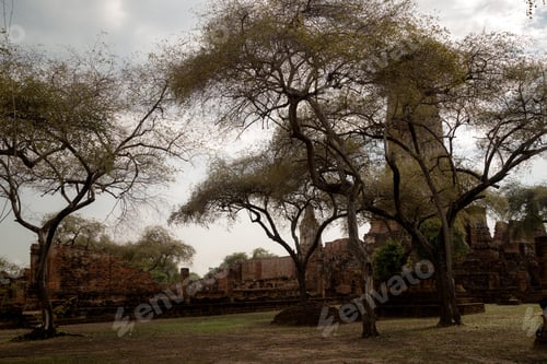 Preview: Old Beautiful Thai Temple Wat Mahathat, Ayutthaya Historical Park, Ayutthaya, Thailand