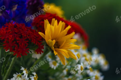 Preview: A Bouquet Of Bright Spring Flowers Of Various Types