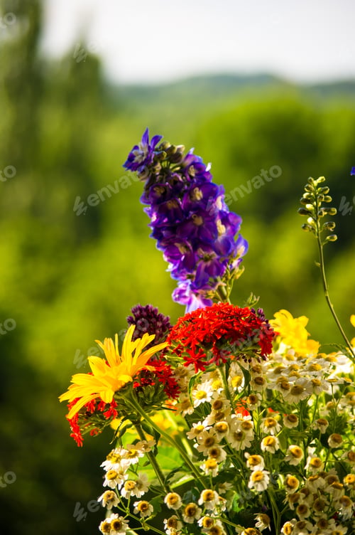Preview: A Bouquet Of Bright Spring Flowers Of Various Types