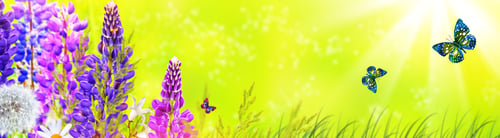 Preview: Blooming Meadow. Green Grass And Wildflowers On A Background Of The Summer Landscape.