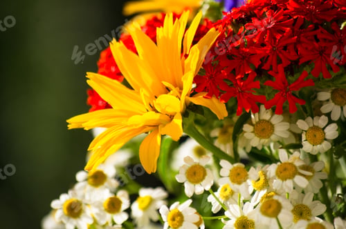 Preview: A Bouquet Of Bright Spring Flowers Of Various Types