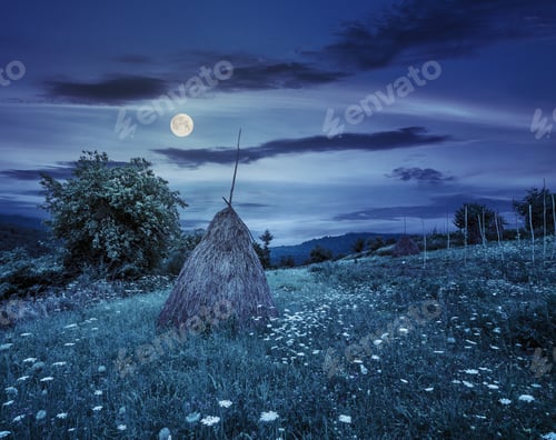 Preview: Haystack On A Green Agricultural Meadow In The Mountains At Night In Full Moon Light