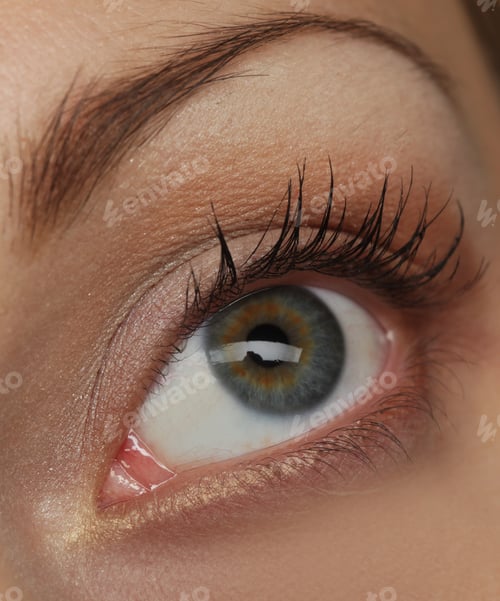 Preview: Macro Image Of Human Eye. Young Woman.