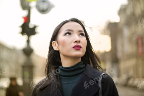 Preview: Beautiful Woman In The Street