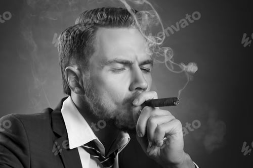 Preview: Young Handsome Bearded Caucasian Man Sitting On Chair With Cognac And A Cigar. Perfect Skin And