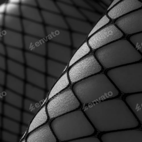 Preview: Female Leg Part, Sexy Lingerie, Fetish Stockings. Monochrome