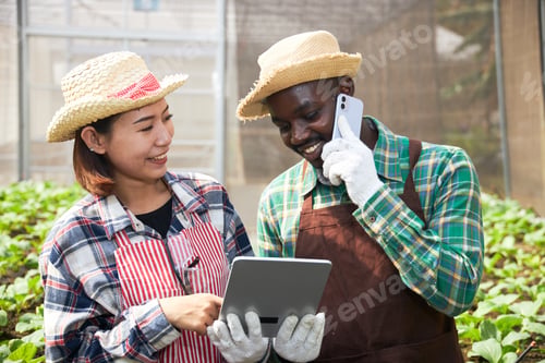 Preview: Farmers Talking On The Phone With Customers About Ordering Organic Vegetables, A Happy Farmer