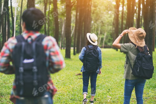 Preview: A Group Of Travelers Walking And Looking Into A Beautiful Pine Woods