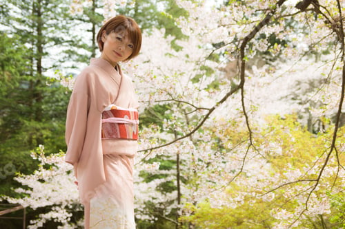 Preview: Woman And Cherry Blossoms Of The Japanese Kimono