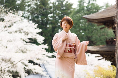 Preview: Woman And Cherry Blossoms Of The Japanese Kimono