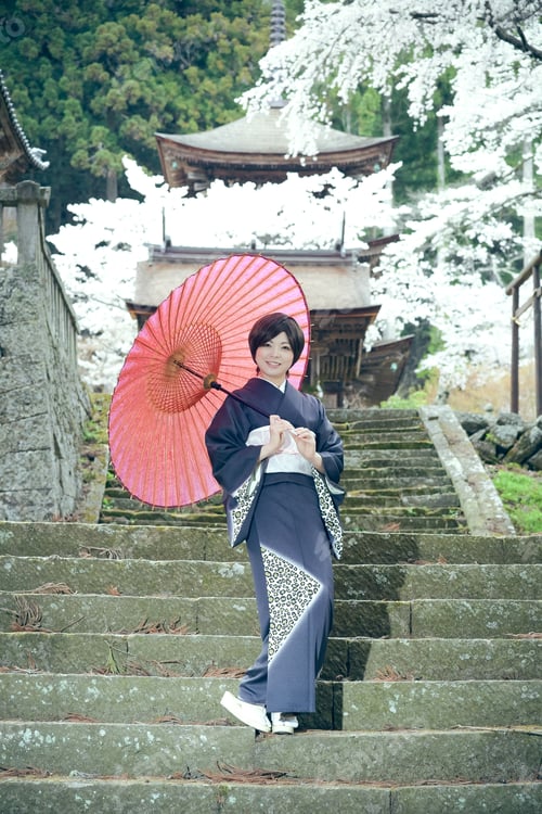 Preview: Cherry Blossom Season Female Material Of Beautiful Women In Full Bloom Of Kimono