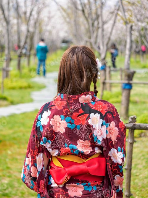 Preview: Attractive Asian Woman Wearing Kimono Standing In Cherry Blossom Forest In Spring, Rear View.