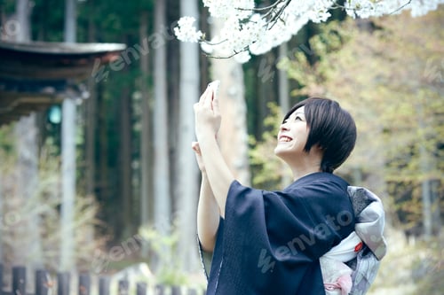 Preview: Cherry Blossom Season Female Material Of Beautiful Women In Full Bloom Of Kimono
