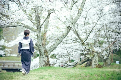 Preview: Kimono Woman