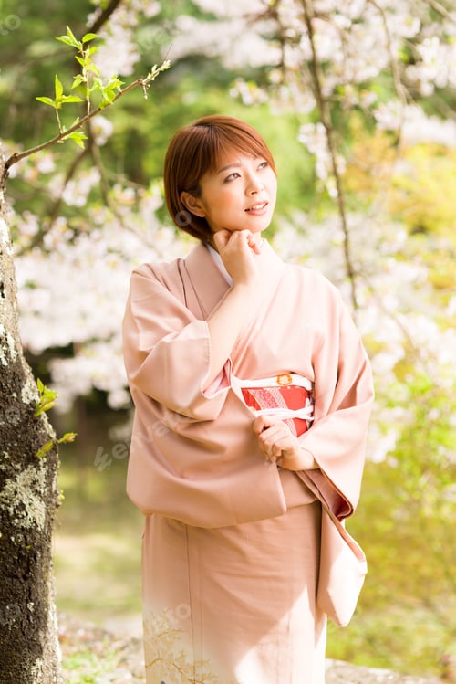 Preview: Woman And Cherry Blossoms Of The Japanese Kimono