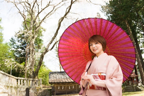 Preview: Woman And Cherry Blossoms Of The Japanese Kimono