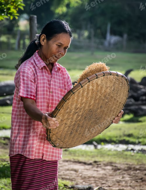 Preview: Asian Woman With Kid In The Field Countryside Of Thailand,Lifestyle Of Asian Women In The