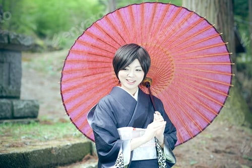 Preview: Cherry Blossom Season Female Material Of Beautiful Women In Full Bloom Of Kimono