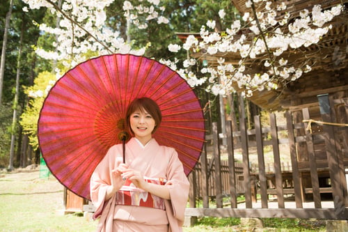 Preview: Woman And Cherry Blossoms Of The Japanese Kimono